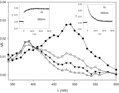 Figure 5. Transient absorption spectra measured 98 ns ( ● ), 288 ns ( ○ ), 1 μs ( ▼ ), and 2 μs ( △ ) after 355 nm laser excitation of a solution of dicumyl peroxide (1 M) and NHQI (5 mM) in CH 3 CN at 25 °C under N 2 