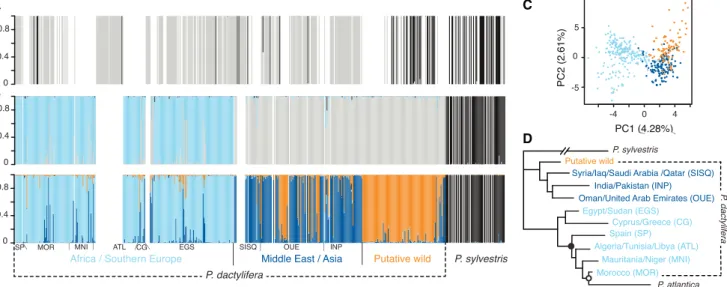 Figure 1. Date Palm Population Structure as Inferred from Seed Morphology and Microsatellites