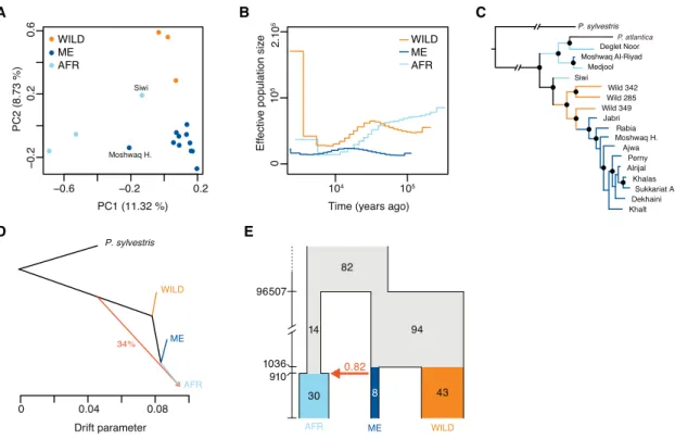 Figure 2. Population Genetic Analyses of Whole-Genome Data