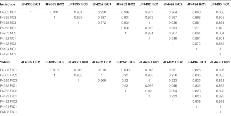 TABLE 2 | Pair-wise identities of all the FliC genes in the strains JF4335, JF4252, JF4492, JF4494, and JF4495 created by a MAFFT multi-sequence alignment.