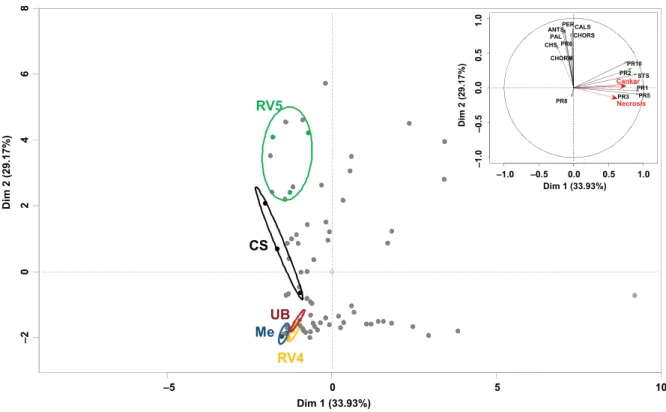 Figure 6 Principal component analysis (PCA) of necrosis/canker length and relative gene expression data obtained from ﬁve different grapevine cultivars and hybrids inoculated with ﬁve Botryosphaeriaceae isolates