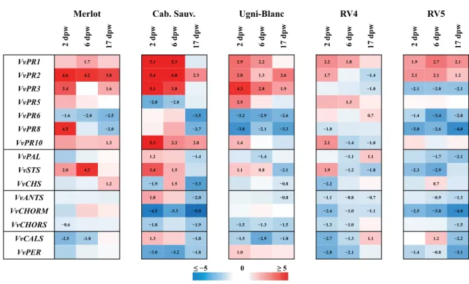 Figure 4 Relative gene expression with log 2 transformation in grapevine leaves sampled after wood wounding without inoculation