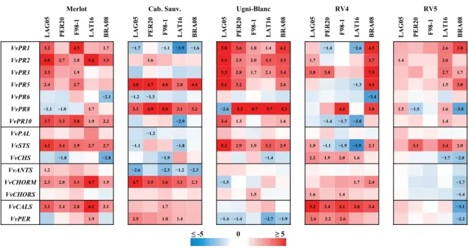 Figure 5 Relative gene expression with log 2 transformation in grapevine cultivar and hybrid leaves 2 days after inoculation of wood with ﬁve Botryosphaeriaceae isolates