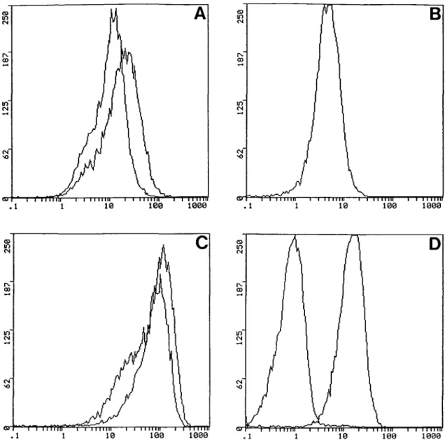 Fig. 1. Flow cytometric assessment of TfR, CD43 and Tn antigen expression. K562 (A) and Jurkat (B, C, D) cells were stained for flow cytometry as described in Materials and methods