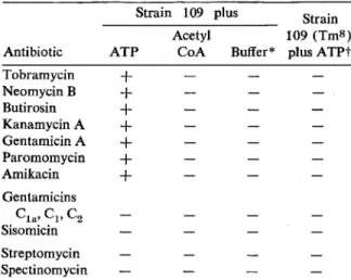 Table 1. Effects of adenosine triphosphate (ATP) and acetyl coenzyme A (acetyl CoA) on inactivation of aminoglycoside antibiotics by lysates of  osmotic-ally shocked Staphylococcus epidermidis strain 109.