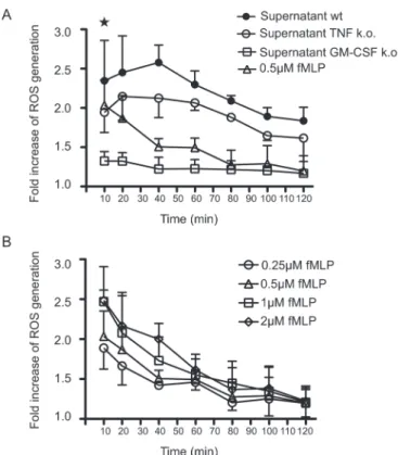 Fig. 3.  Mast cells prolong the survival of neutrophils.(A) Freshly iso- iso-lated neutrophils were incubated for 24 h with or without additional  conditioned medium (50 vol%) derived from activated TNF-deficient  BMMC or their congenic littermates