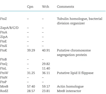 Table 1. Conservation and percentage of identity of chlamydial divi- divi-sion proteins compared to E