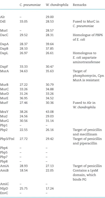 Table 3. Conservation and percentage of identity of chlamydial PG biosynthesis enzymes compared to E