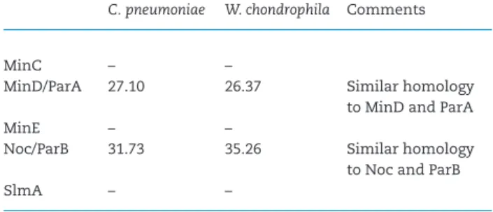 Table 6. Conservation and percentage of identity of chlamydial pro- pro-teins possibly involved in mid-cell determination compared to E