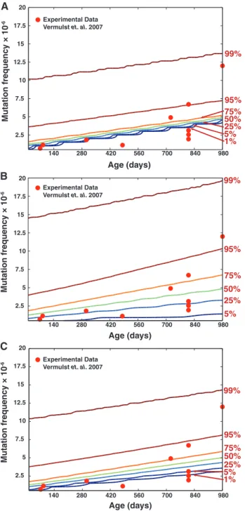 Figure 3. Variability in the point mutation frequency in mouse heart tissues. Point mutation burden in a wild-type mouse population (n = 1000 mice) as predicted by a random drift model (26)