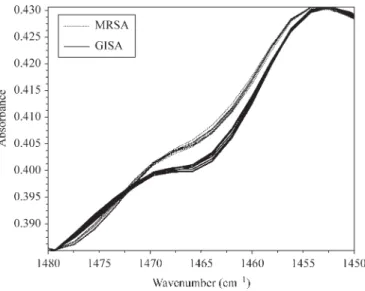Figure 1. FTIR spectra of GISA/hGISA (solid lines) and MRSA (dotted lines) in the region 1480 – 1450 cm 21 