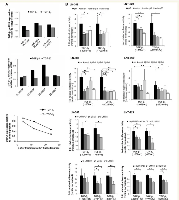 Figure 5 Integrin inhibition suppresses TGF-b gene transcription. (A) LN-308 glioma cells were cultured with integrin blocking or isotype control antibodies as indicated