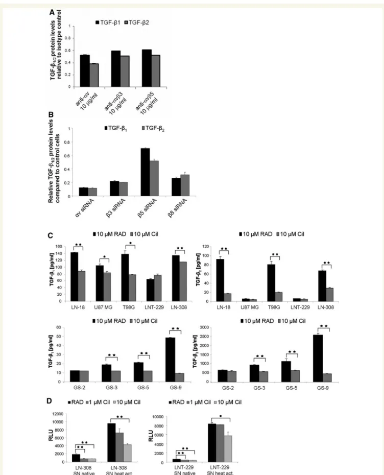 Figure 4 Integrin inhibition suppresses TGF-b protein release. Supernatant from LN-308 glioma cells, exposed to integrin blocking or isotype control antibodies (A) or small interfering RNA-mediated integrin gene silencing (B), were assessed for TGF-b 1 and