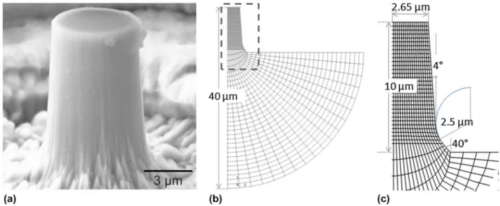 FIG. 1. The micropillars were prepared by focused ion beam (FIB) with the sample surface normal to the ion beam
