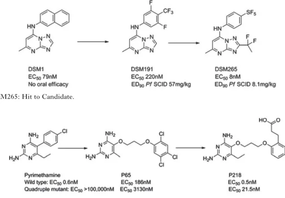 Fig. 8. P218: Pyrimethamine to Candidate.