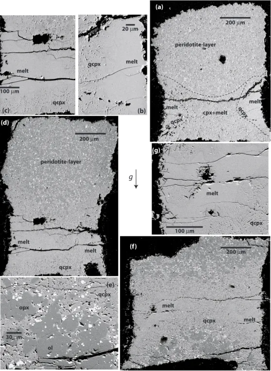 Fig. 6. BSE images of saturation experiments in graphite capsules. cpx, equilibrium clinopyroxene; qcpx, quench clinopyroxene; ol, olivine;