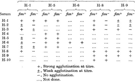 Table 3. Cross-agglutination offimbriate and non-fimbriate variants of selected H type strains by homologous and heterologous H antisera