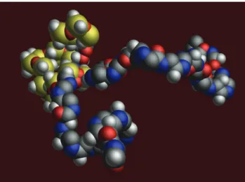 Figure 1 Computational modeling of triblock copolymer composed  of oxazolines and siloxane