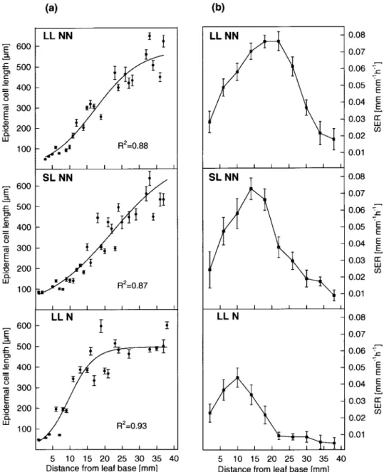 Fig. 4. Distribution of epidermal cell length and tissue elongation along the LEZ. (a) Spatial distribution of the epidermal cell lengths of a short-leafed (SL) and a long-leafed (LL) genotype along the LEZ grown under high (NN) or low (N) nitrogen supply