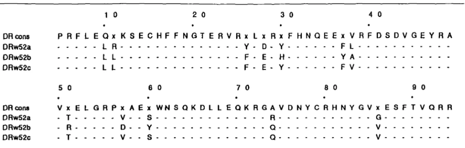 Table 2. The primary amino acid sequence of the B1 domains of supertypic specificities DRw52a, -b, and -c 1 0 2 0 3 0 4 0 DRcons  P R F L E Q x K S E C H F F N Q T E R V R x L x R x F H N Q E E x V R F D S D V G E Y R A DRw52a  L R  Y - D - Y  F L DRw52b  