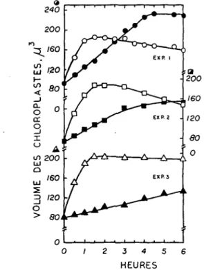 Fig. 1. Influence d'un sejour prolonge a l'obscurite (symboles fermes) et a la lumiere (symboles ouverts) sur le volume de chloroplastes isoles.