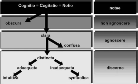 Figure 3. Leibniz’s hierarchy of cognition/knowledge levels