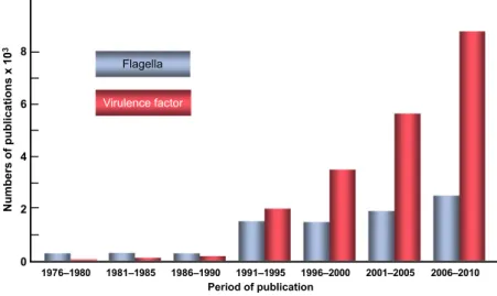 Fig. 1. Virulence factors on the rise. The numbers of publications were taken from the Web of Science TM using ‘flagella’ and ‘virulence factor’ as key words.