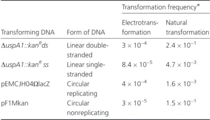 Table 1. Electrotransformation versus natural transformation of Moraxella catarrhalis