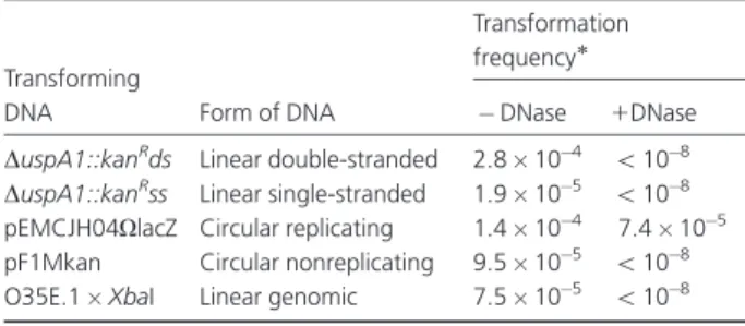 Table 2. Effect of DNase on electrotransformation of Moraxella catarrhalis