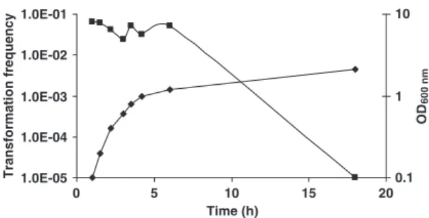 Fig. 1. Influence of growth phase on natural transformation of Morax- Morax-ella catarrhalis