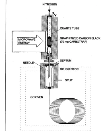Figure 1. Quartz tube and graphitized carbon black sorbent for thermal  desorption by microwaves