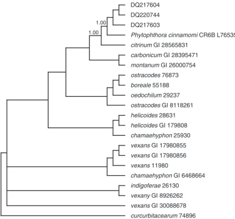 Fig. 4. Phylogenetic position of DQ217603, DQ217604 and DQ220744 inferred from  inter-nal transcribed spacer sequences by using Bayesian inferences method