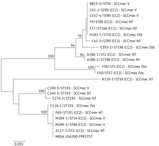 Figure 3. Neighbour-joining tree based on the comparison of 1183 bp internal regions of ACME-associated opp3AB (ACME-opp3AB) genes from 21 MRSE strains and MRSA strain USA300-FPR3757.