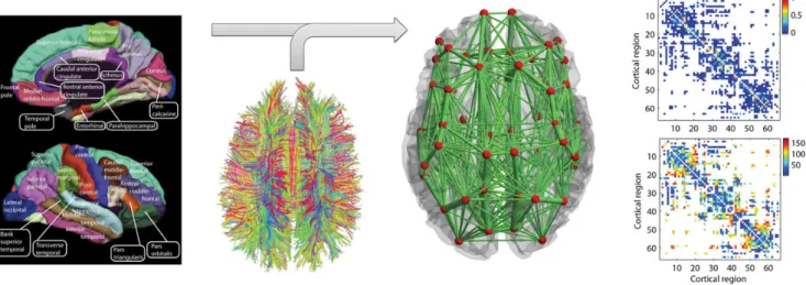 Figure 1. Anatomical connectome derived by Hagmann et al. (2007) using DSI averaged over 5 healthy subjects