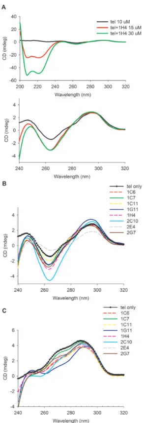 Figure 4. CD spectra of tel alone and in complex with DARPins. (A) Upper panel (full spectrum, dominated by protein): 10 ␮ M tel in TBS before (black line) and after addition of 15 ␮ M (red line) and 30 ␮ M (green line) DARPin 1H4