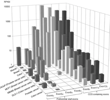 Figure 2.Quantification of MB start exon transcription in different human tissues by RNA-Seq read counting