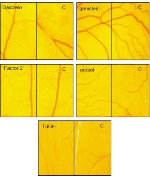 Fig. 2. Examples of inhibitory effects of different isoflavones on in vivo angiogenesis in the chicken chorioallantoic membrane assay