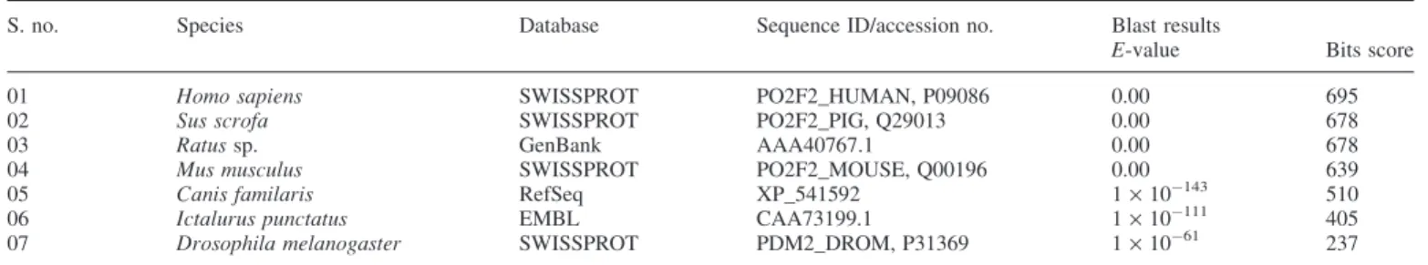 Table 2. Different Oct-2 proteins used for multiple alignment