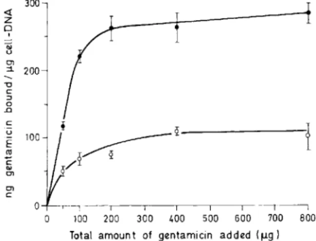 Figure 1.. Binding of 100 tJg of [ 14C]gentamicin in a l-ml assay by purified intact (0) or freeze-thawed polymorphonuclear leukocytes (PMNL) as a function of cell concentration: (.) = sediment; (.&amp;) =  superna-tant