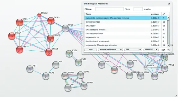 Figure 2. Network visualization and statistical analysis of a user-supplied protein list