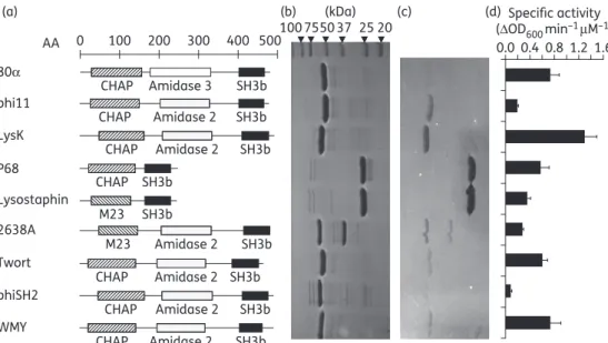 Figure 1. Modular organization, purification and staphylolytic activity of nine different staphylococcal SH3b domain-containing PGHs