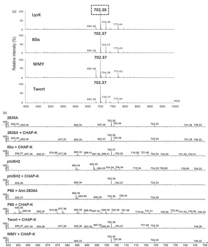 Figure 3. ESI–MS analysis of PGH cleavage sites. (a) ESI– MS spectra (m/z range 400– 1000) of S