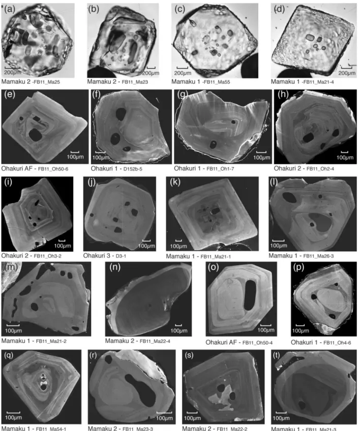 Fig. 10. (a^d) Photomicrographs in transmitted light of selected quartz crystals; (e^t) representative CL images of quartz crystals.