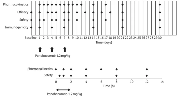 Figure 2 summarizes the profile of the study and subsequent analysis.