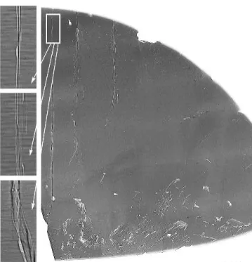 FIG. 5. SR microradiographs of (112¯0)-oriented SiC wafer. The inset shows a high-magnification image of bundled micropipes.