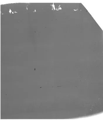 FIG. 6. SR microradiograph of (101¯0)-oriented SiC wafer.