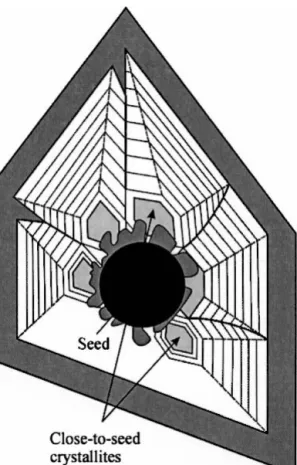 FIG. 7. Scheme illustrating a possible formation of internal bound- bound-aries (solid lines) between crystallites resulting from a multiple  nu-cleation on the seed.