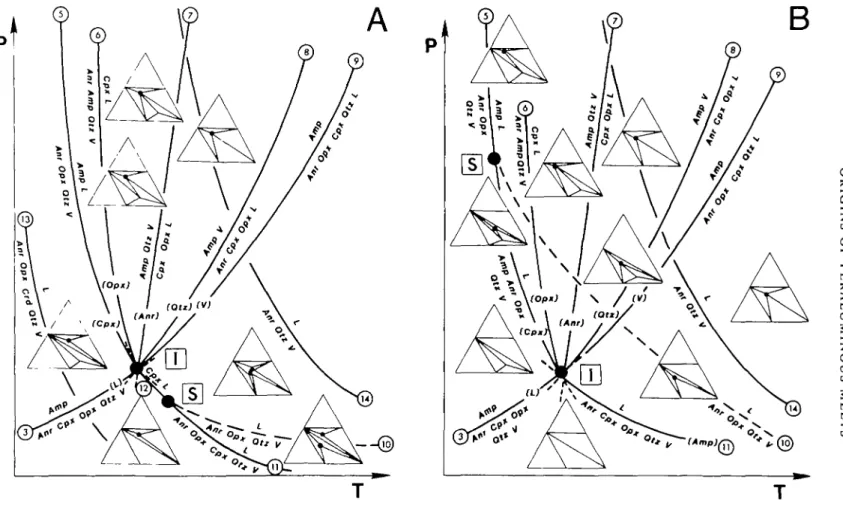 FIG. 4. Schematic P- Tdiagrams showing alternatives for the generation of peraluminous melts below 5 kb P HJ O&gt; depending upon whetheT the singular point [S], which is generated by the intersection of the eutectic reaction (10) Anr + Opx + Qtz + V = L w