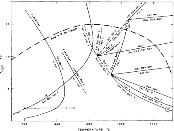 FIG. 8. A P-T diagram showing a proposal for the silica-undersaturated (with For and Spn) but water-saturated phase relations in CMASH, deduced from the data of Yoder (1966) and Ford (1976)