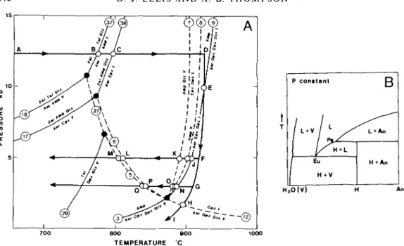 FIG. 9. Dehydration and dehydration-melting reactions in CMASH used to model amphibolite melting